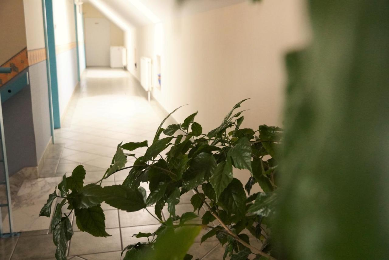 Club Haus 502 Kalocsa Bed & Breakfast Bagian luar foto